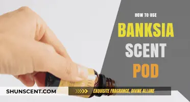Unlocking Banksia Scent Pod Secrets: A Beginner's Guide to Usage