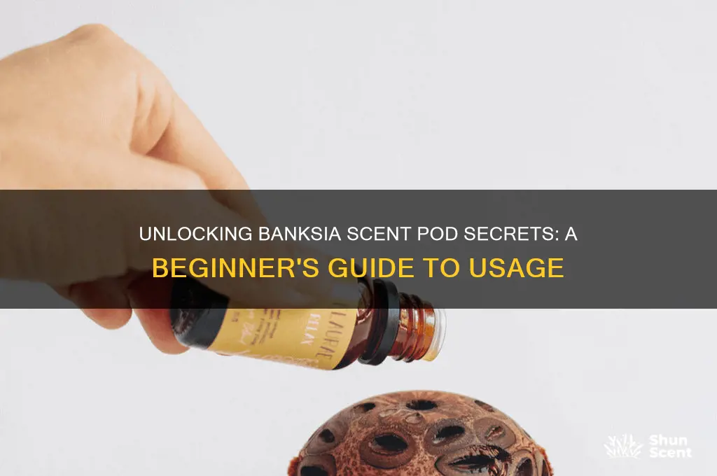 how to use banksia scent pod