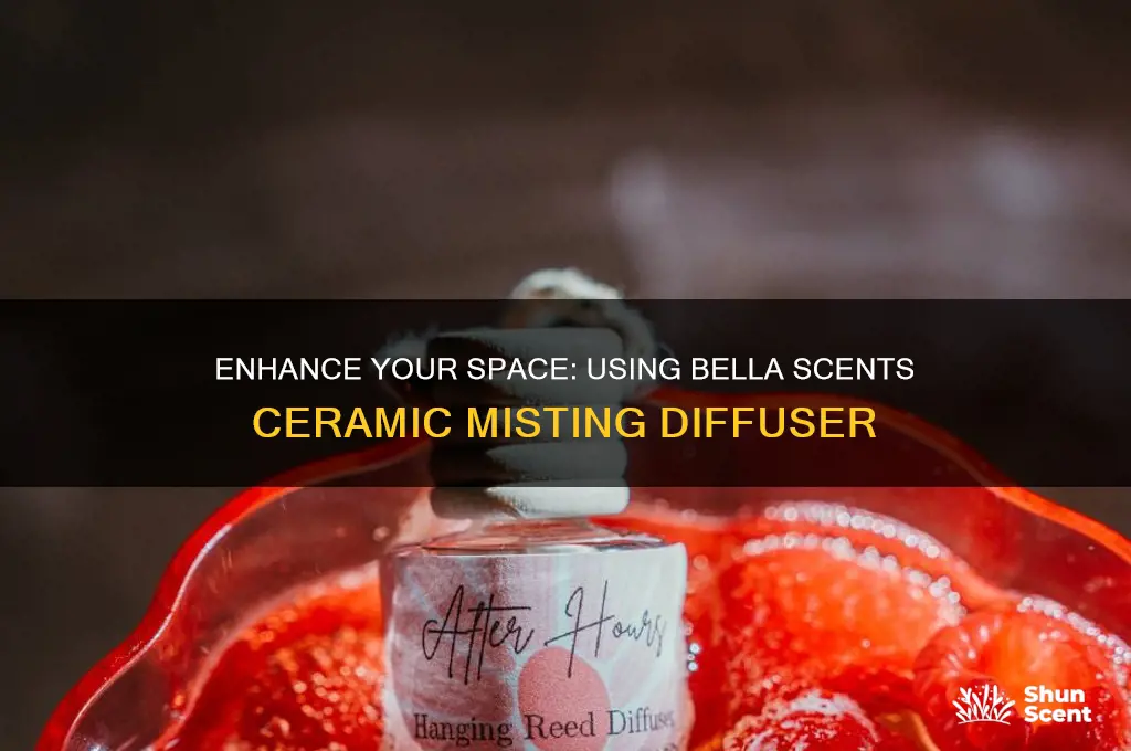 how to use bella scents ceramic misting diffuser