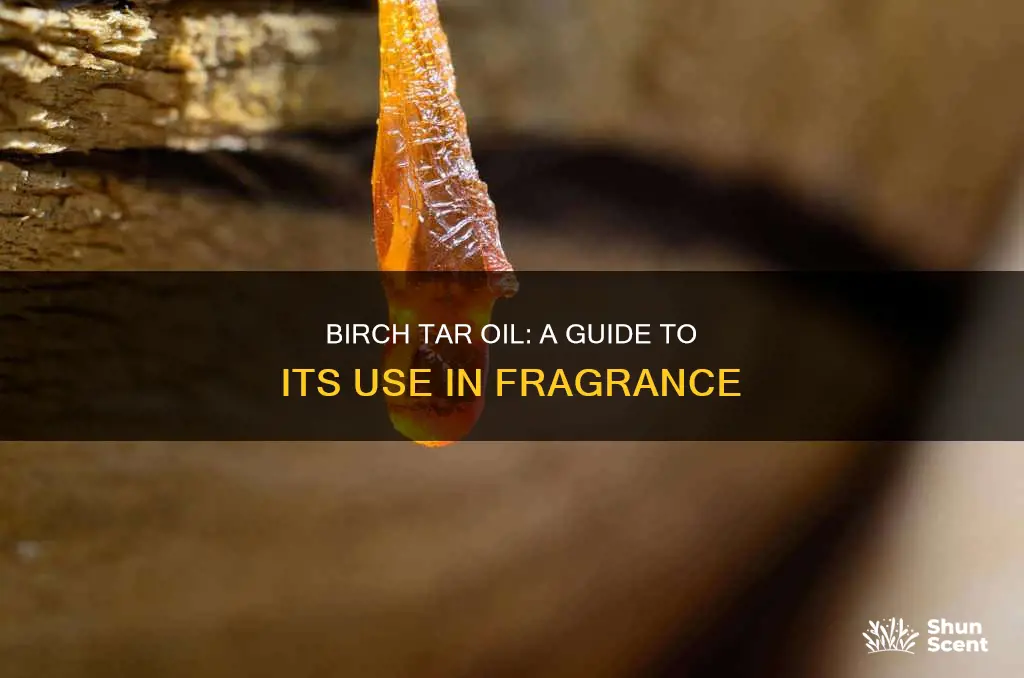 how to use birch tar oil in fragrance