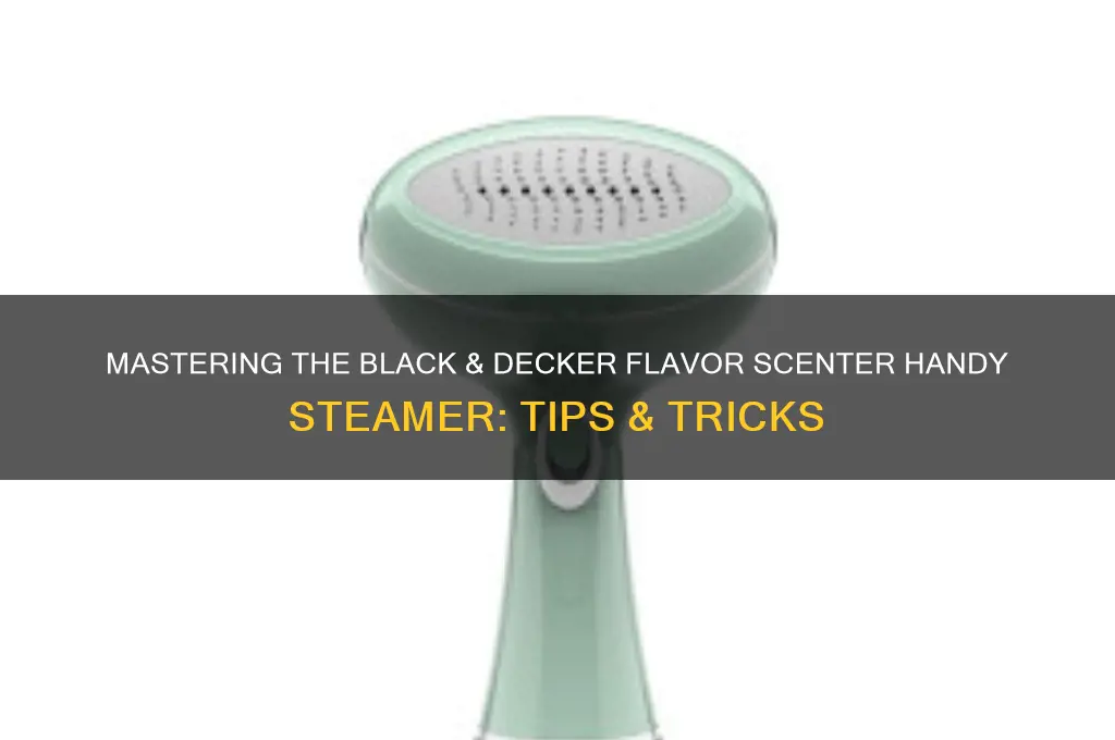 how to use black and decker flavor scenter handy steamer