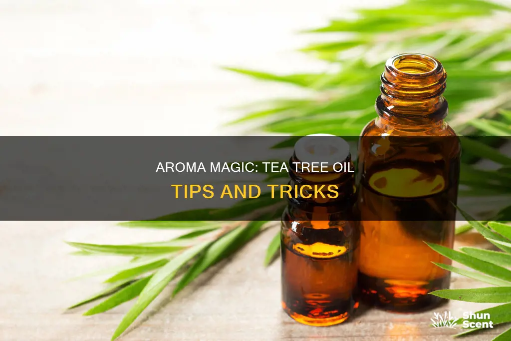 how to use blossom kochhar aroma magic tea tree oil