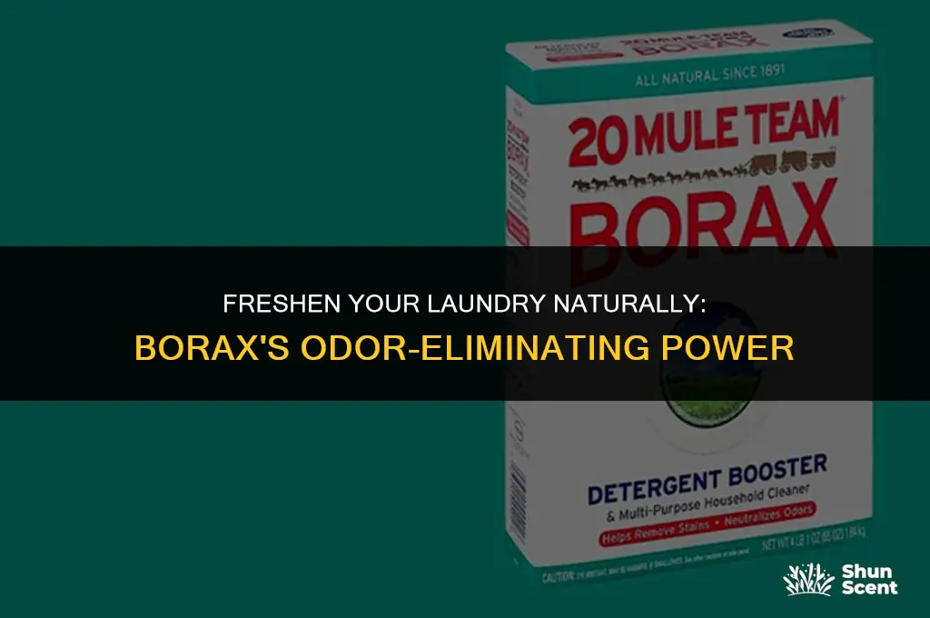 how to use borax to get rid of clothes odor
