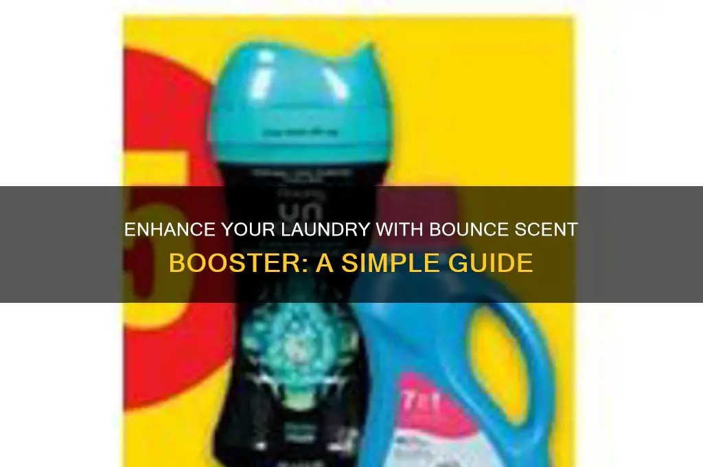 how to use bounce scent booster