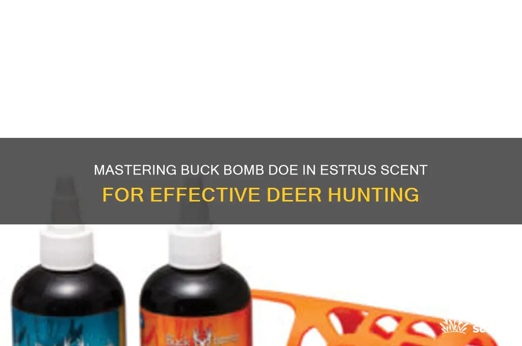 how to use buck bomb doe in estrus scent