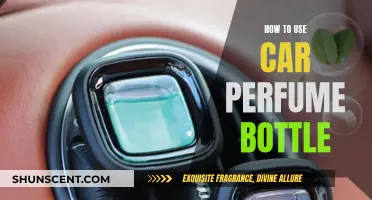 The Magic of Car Perfumes: Easy Application Tips