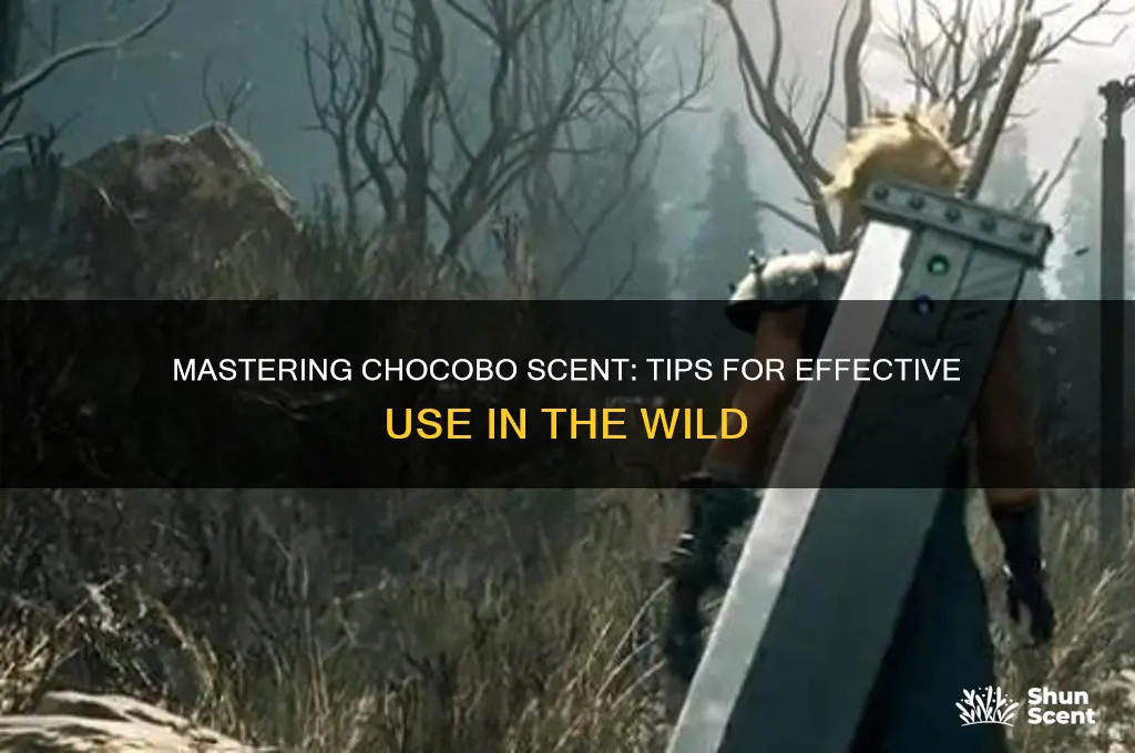 how to use chocobo scent
