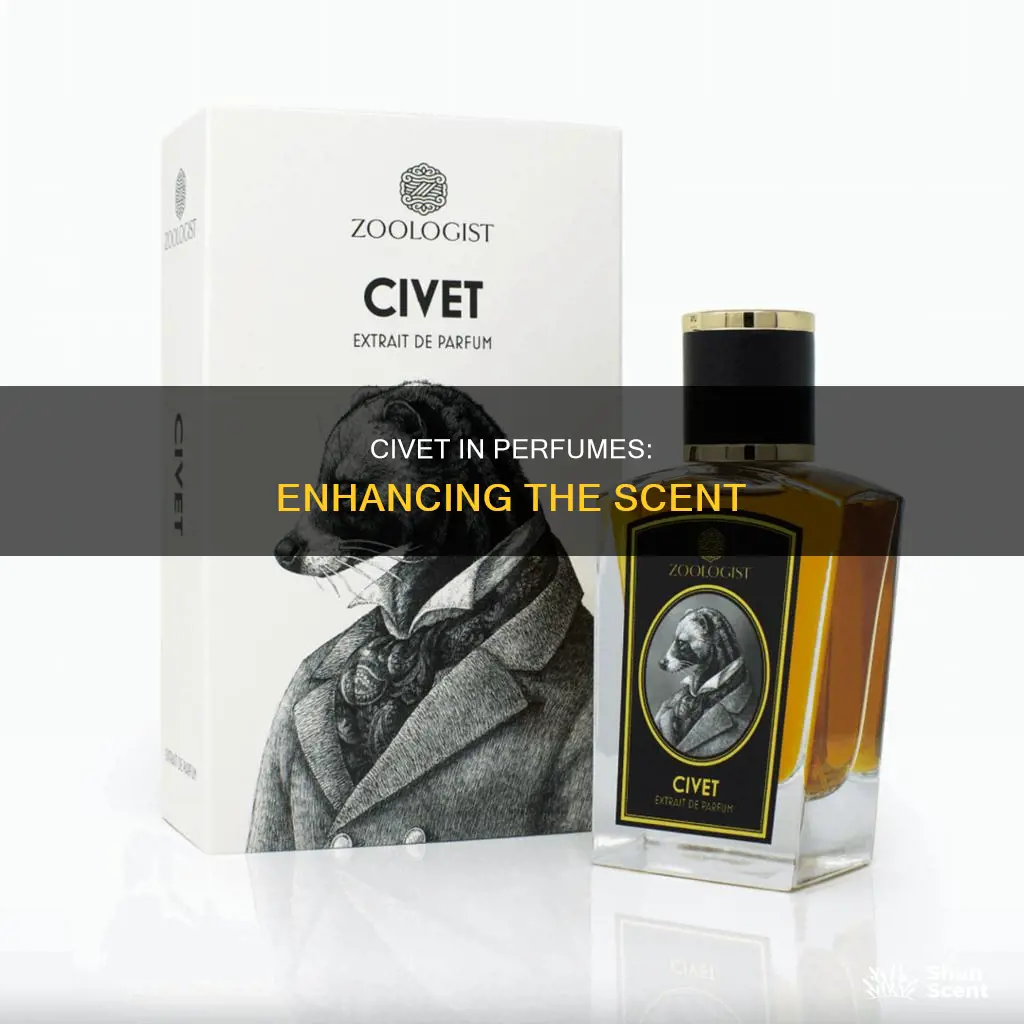 how to use civet in perfume