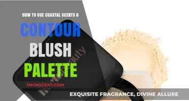 Mastering Contouring & Blush: Coastal Scents 6 Palette Tutorial