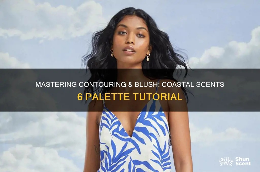 how to use coastal scents 6 contour blush palette