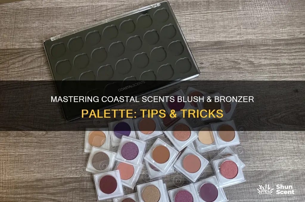 how to use coastal scents blush and bronzer palette