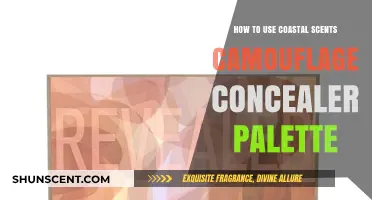 Mastering Flawless Skin: Coastal Scents Camouflage Concealer Palette Guide