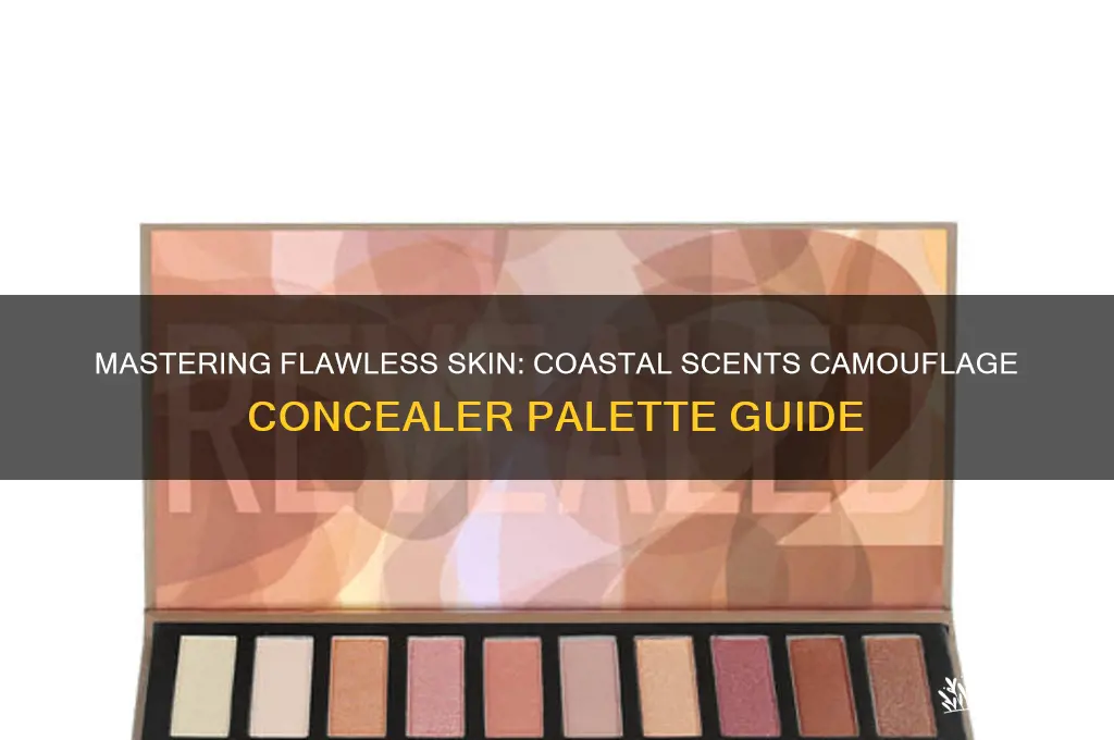 how to use coastal scents camouflage concealer palette