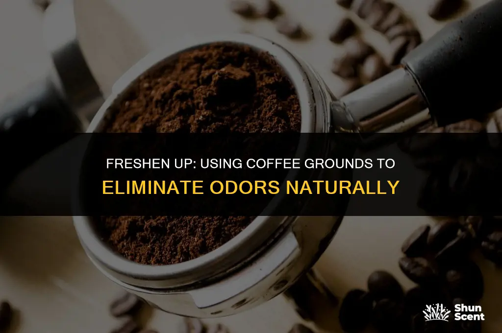 how to use coffee grounds to get rid of odor
