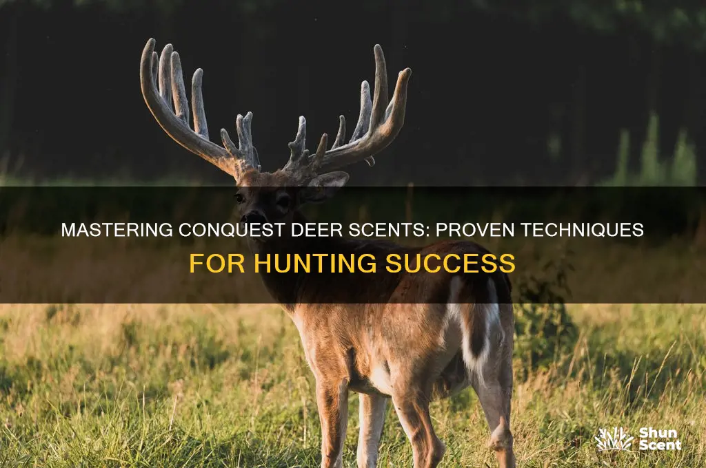 how to use conquest deer scents