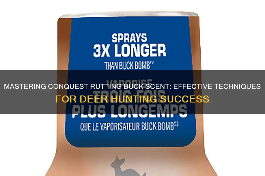 how to use conquest rutting buck scent