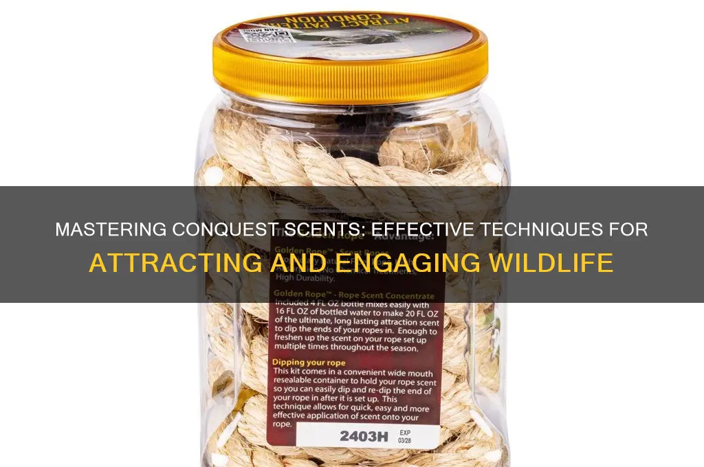 how to use conquest scents