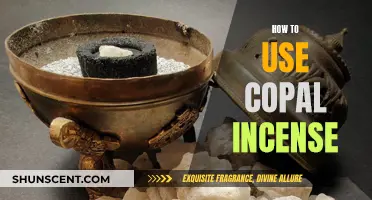 A Beginner's Guide to Burning Copal Incense