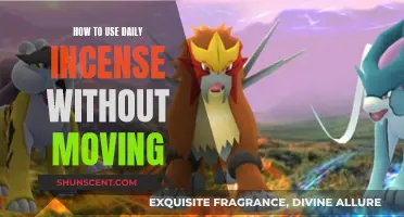 Using Incense Without Movement: A Daily Guide