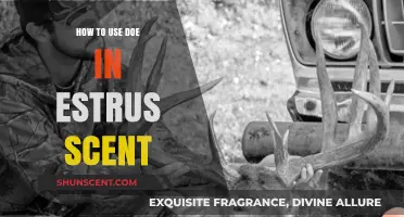 Maximize Your Hunting Success: Effective Use of Doe Estrus Scent