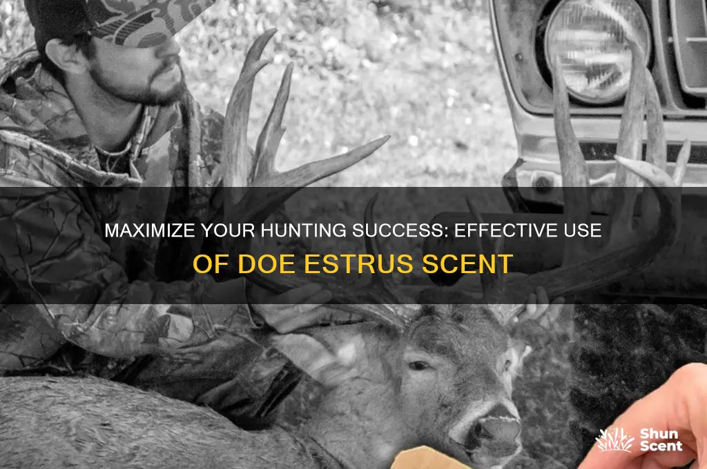 how to use doe in estrus scent