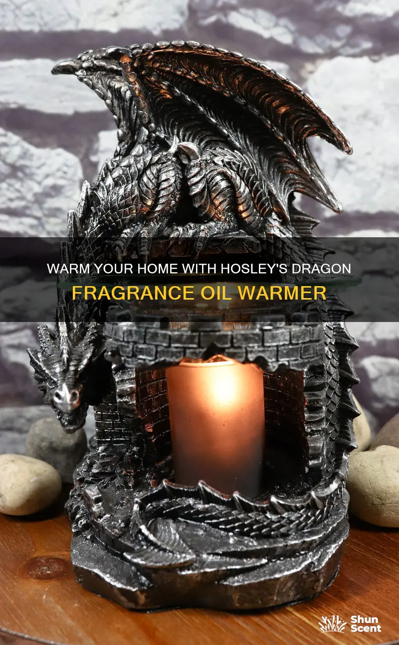 how to use elegant-expressions-by-hosley-dragon-fragrance-oil-warmer