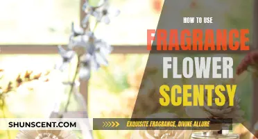 Unleash Your Senses: A Guide to Using Scentsy Fragrance Flowers