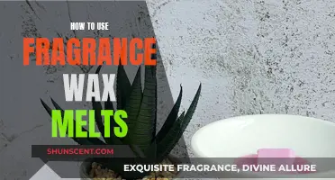 Unleash Your Scent: A Guide to Wax Melt Bliss