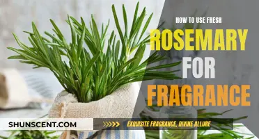 Rosemary's Aromatic Magic: Fragrant Tips for Fresh Rosemary