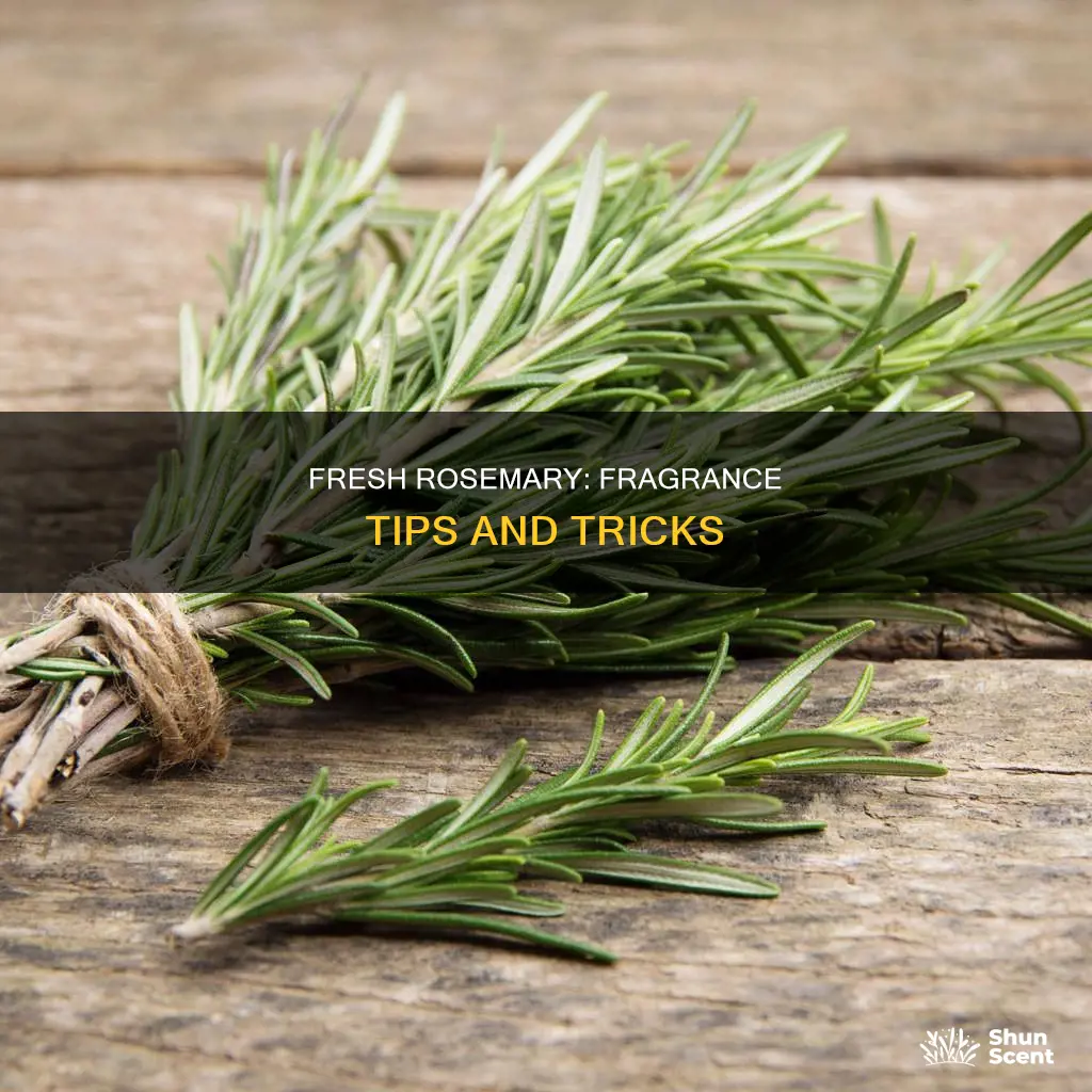 how to use fresh rosemary for fragrance