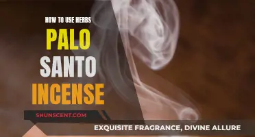 Healing with Herbs: Palo Santo Incense Guide