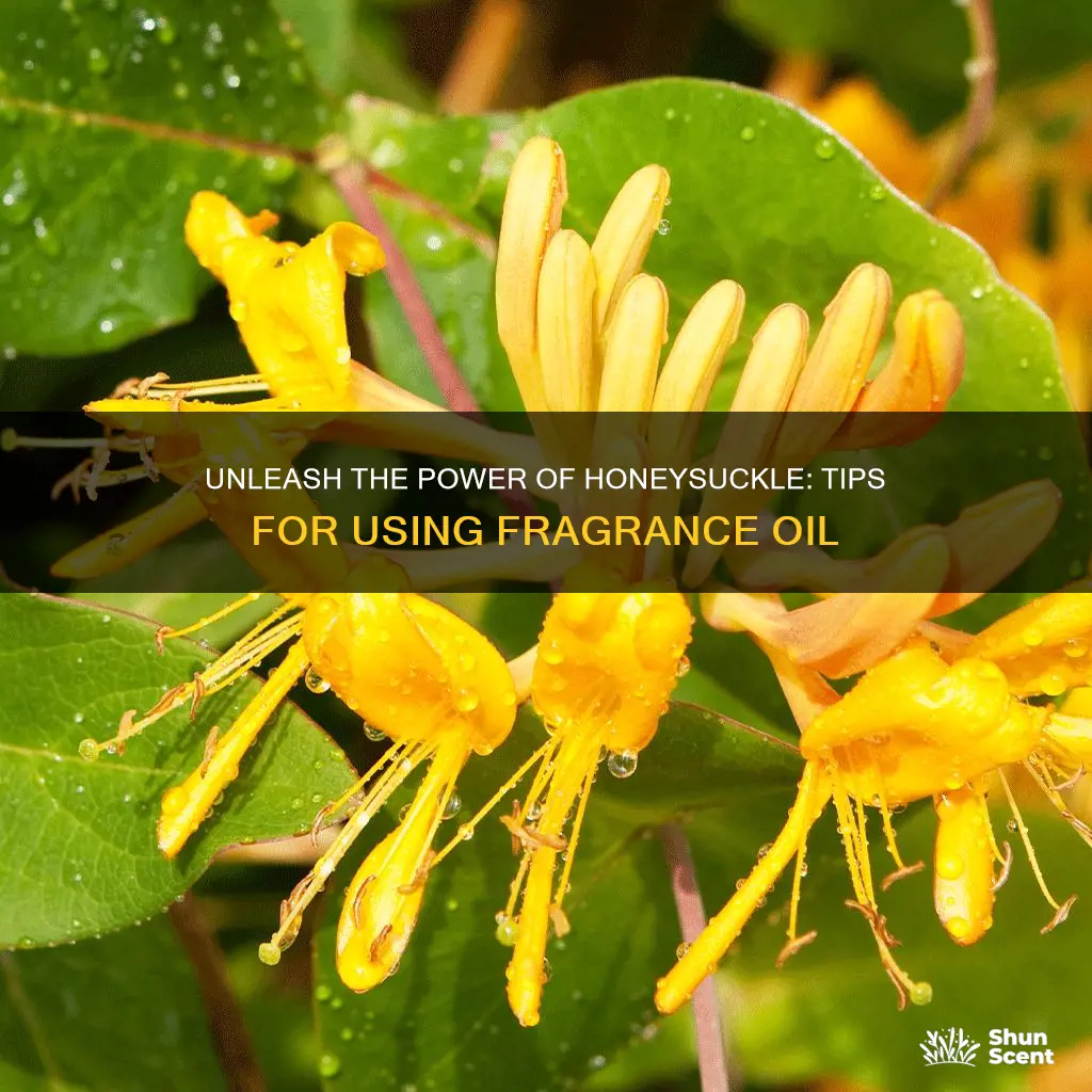 how to use honeysuckle fragrance oil