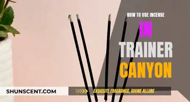 Trainer Canyon Incense Use: A Guide