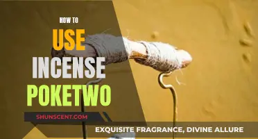 Incense Pokétwo: A Guide to Using Incense