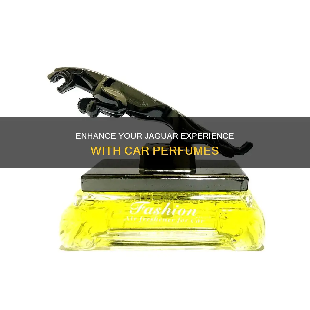how to use jaguar car perfume