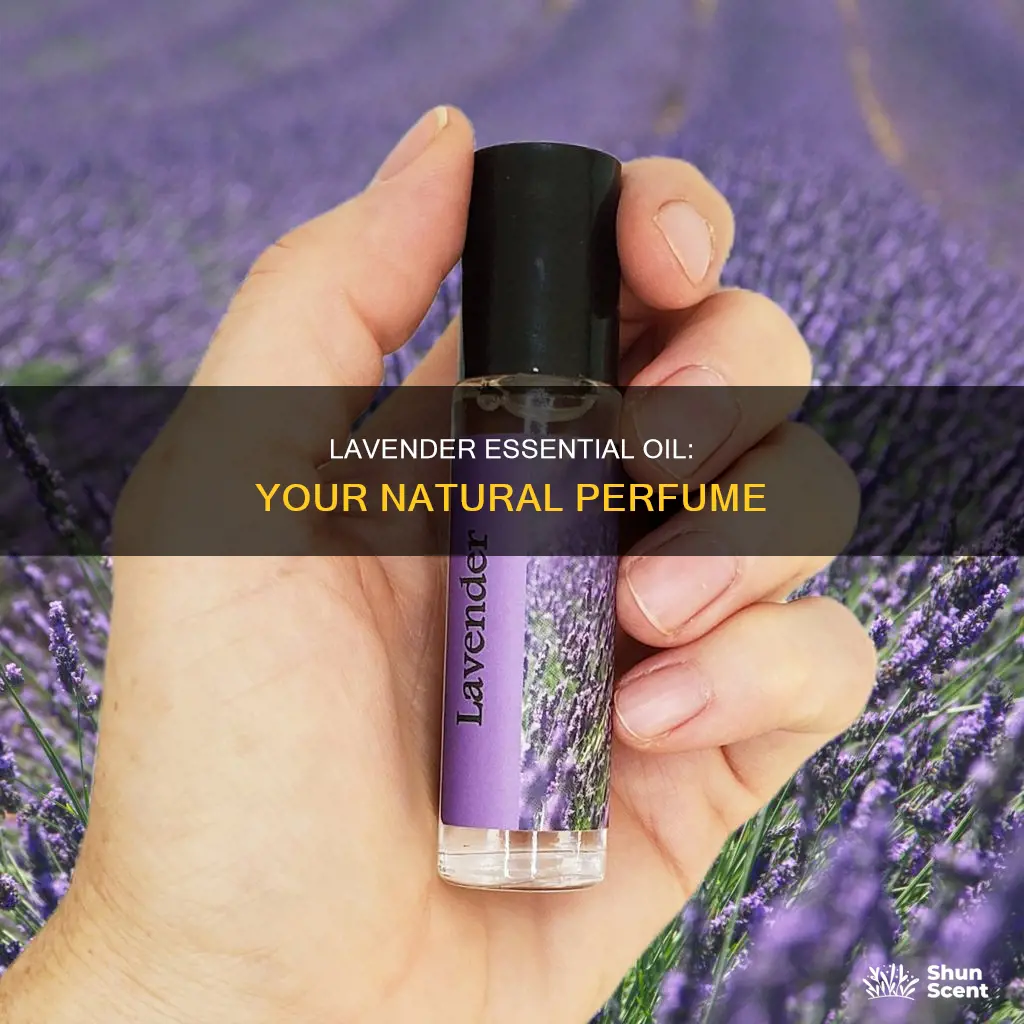 how to use lavender essential oil as perfume