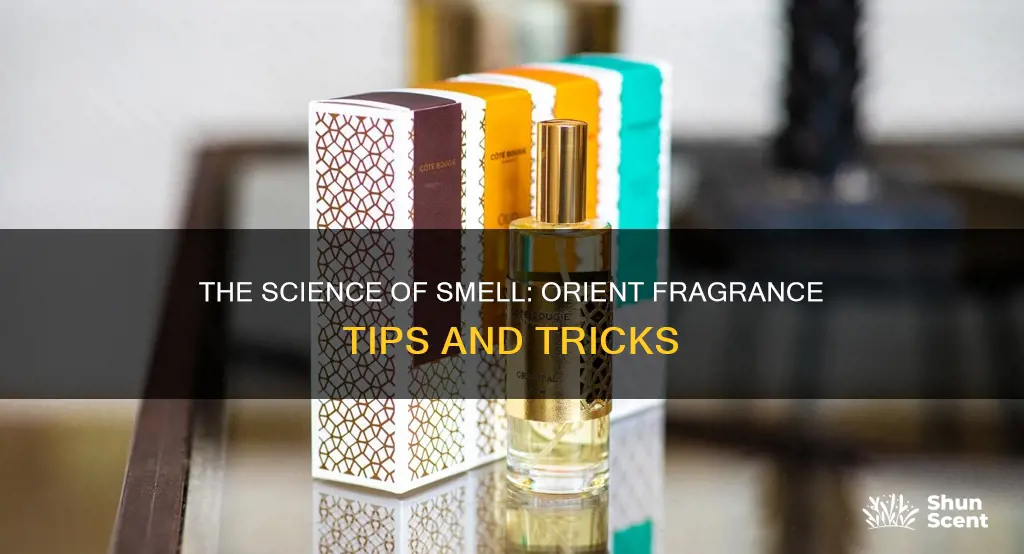 how to use orient fragrance science
