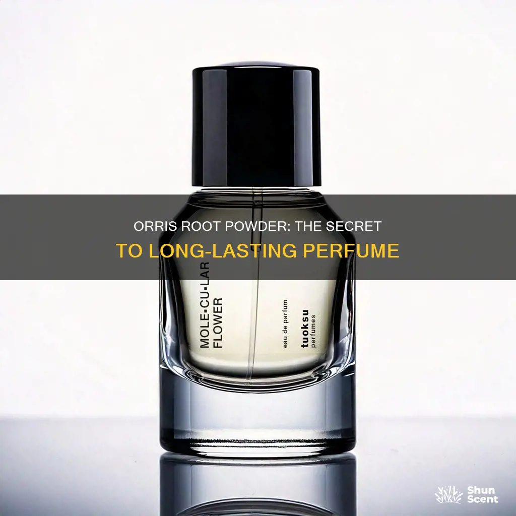 how to use orris root powder in perfume