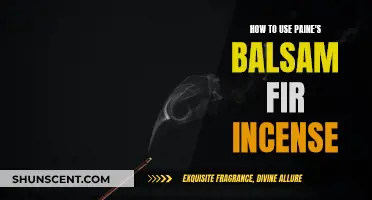 The Warmth of Paine's Balsam Fir Incense: A Guide