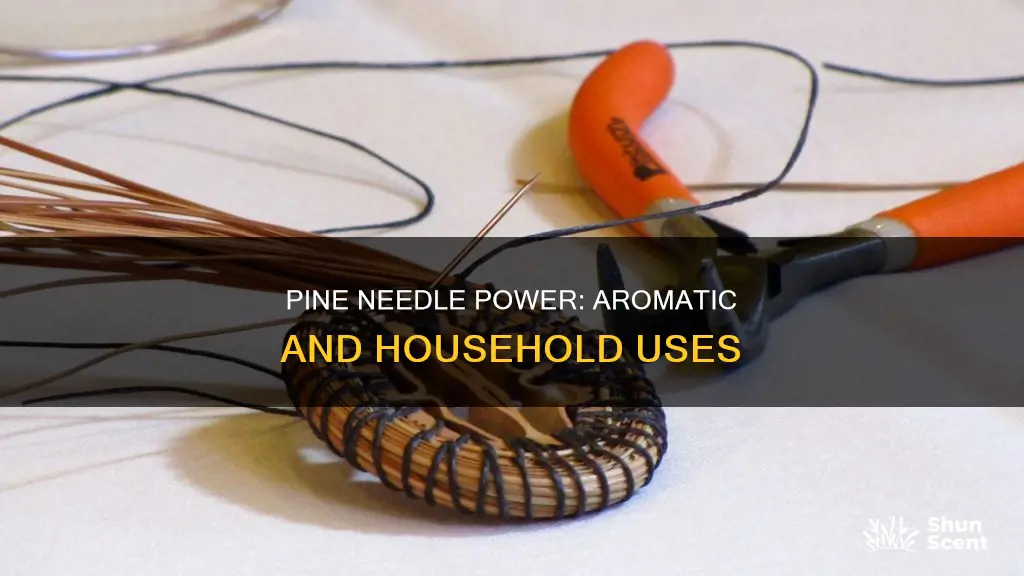 how to use pine needles as aroma and house