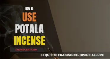 A Beginner's Guide to Using Potala Incense