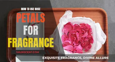 Rose Petals: Nature's Fragrance Guide for a Sensual Experience