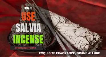 Exploring Salvia Incense: A Guide to Proper Usage