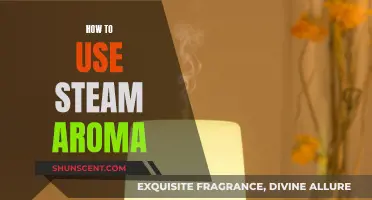 Steam Aroma: Easy Ways to Use It