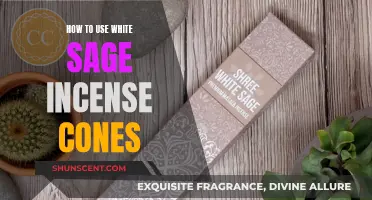 Using White Sage Incense Cones: A Beginner's Guide