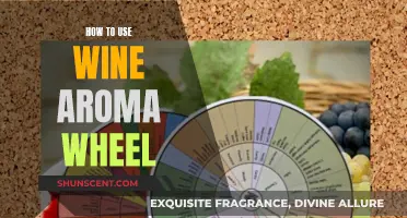 Unraveling the Wine Aroma Wheel: A Beginner's Guide