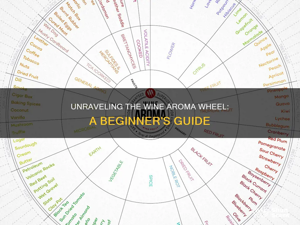 how to use wine aroma wheel