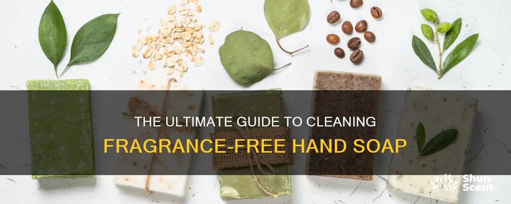 how to wash fragrance free hand soap