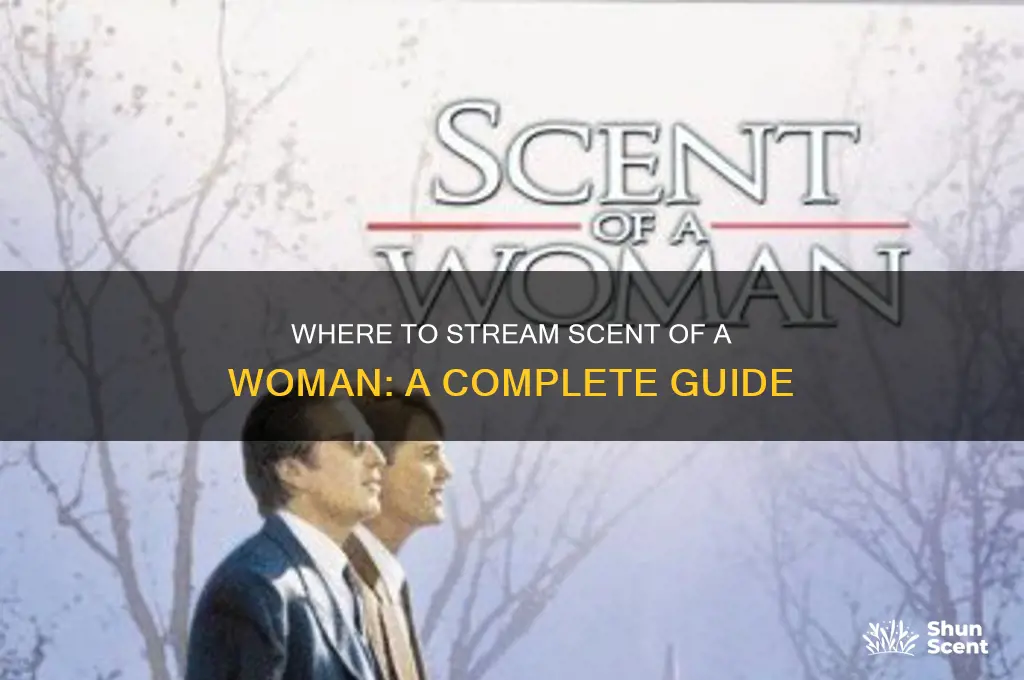 how to watch scent of a woman