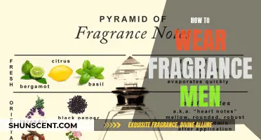 Mastering the Art of Fragrance: A Guide for Men